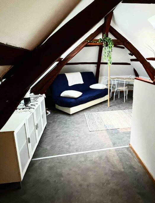 Tres Beau Studio Mansarde, Centre De Bourges Apartment Exterior photo